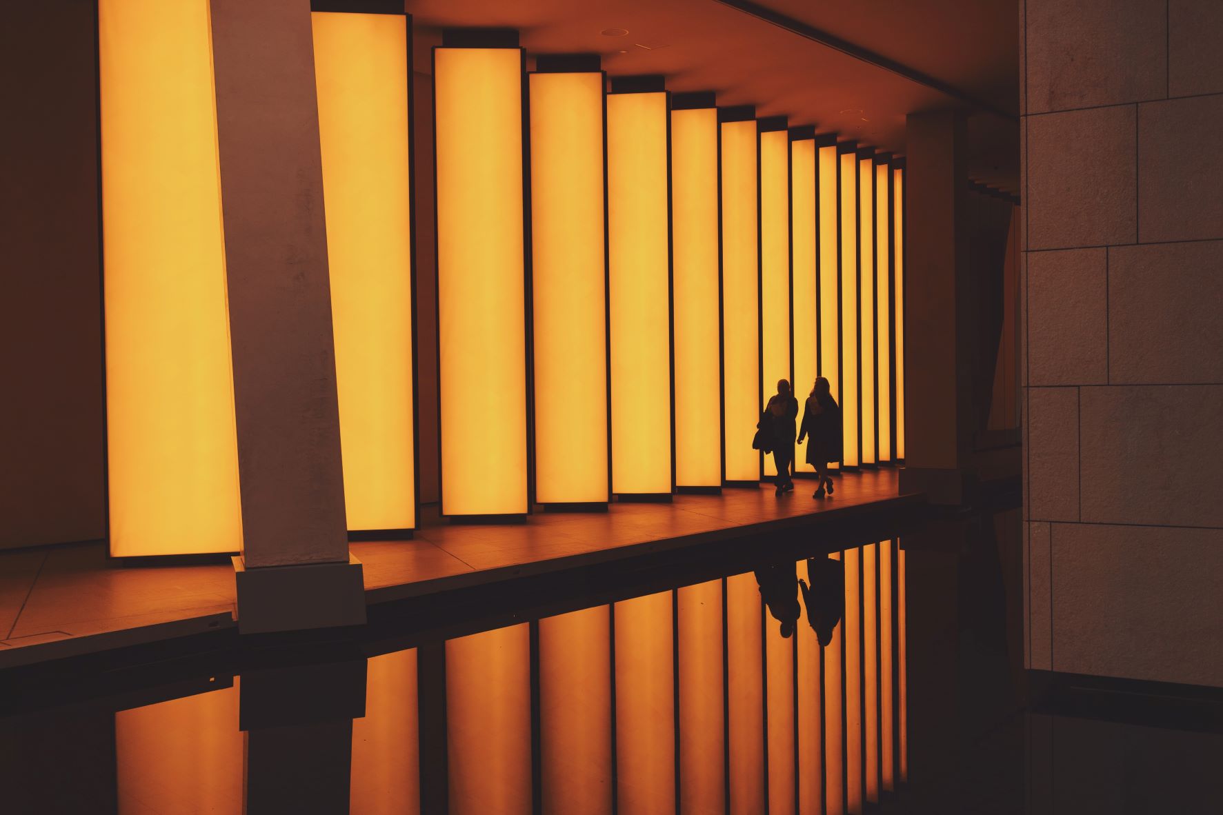 alessio-lin-ZhuKnd5VpV4-unsplash